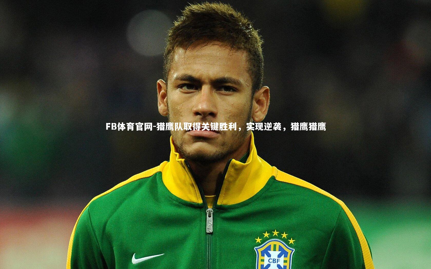 猎鹰队取得关键胜利,实现逆袭,猎鹰猎鹰