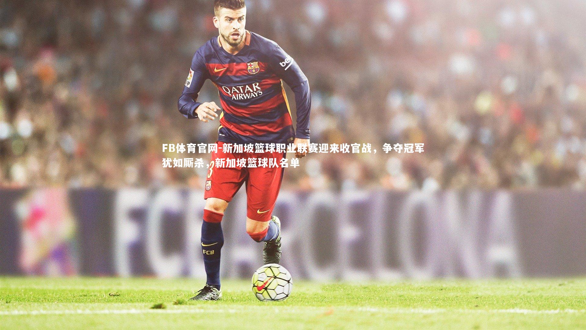 新加坡篮球职业联赛迎来收官战,争夺冠军犹如厮杀,新加坡篮球队名单