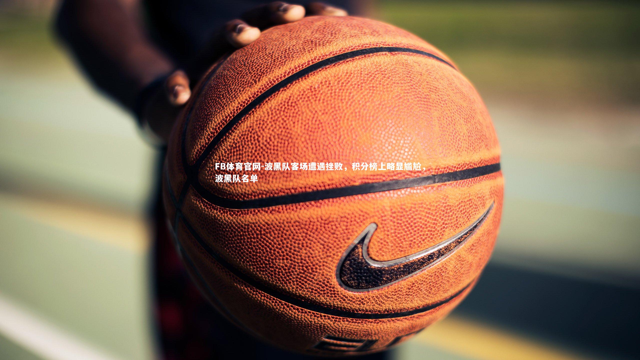 波黑队客场遭遇挫败,积分榜上略显尴尬,波黑队名单