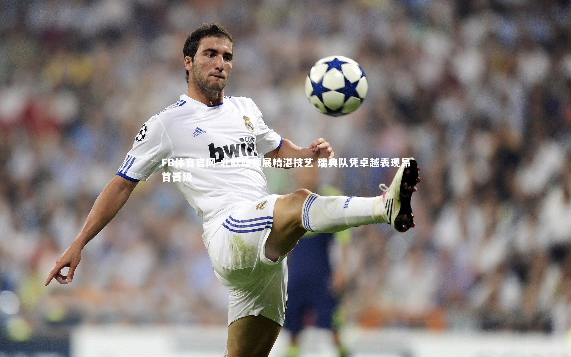 北欧雄师展精湛技艺 瑞典队凭卓越表现昂首晋级